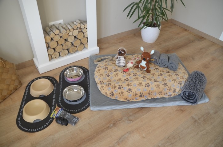 Hundeausstattung
