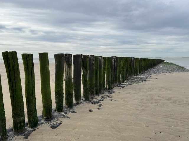 Foto fürs Urlaubsalbum
