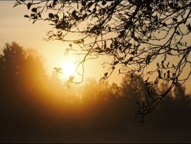 Sonne erwacht im Bellevue