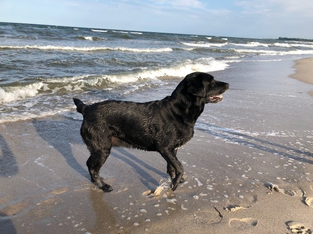 Hundestrände 10 min