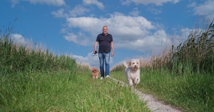 super wandern mit Hunde