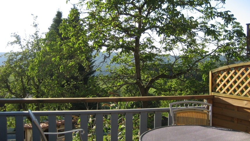 Ausblick von der Terrasse
