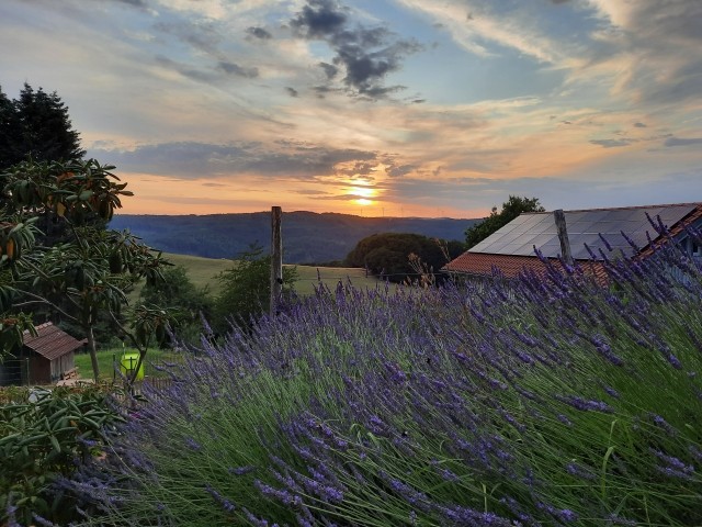 Aussicht