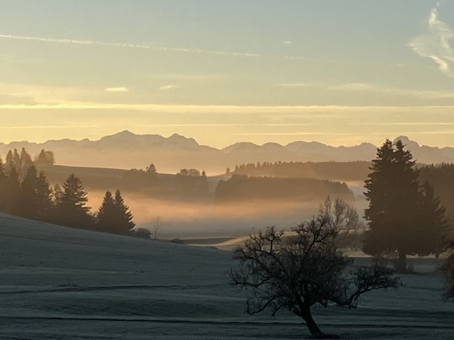 Blick beim Spazieren direkt am Hof