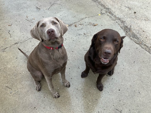 Kyro und Kayla :-)