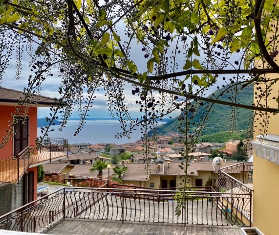 Blick am Haus vorbei auf den See