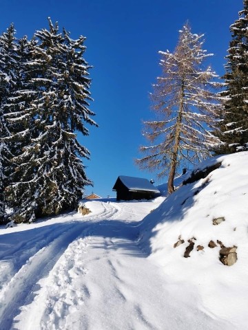 Winterwanderwege vom Haus aus