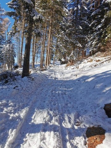 Winterwanderweg