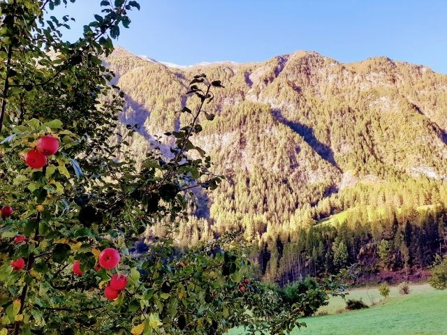 Balkonblick