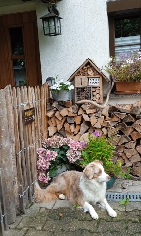 Ich mache hier Ferien!