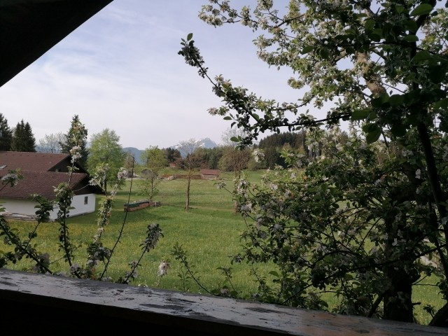 Blick vom Balkon 