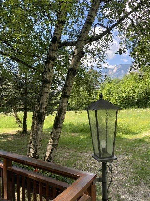 Ausblick von der Terrasse 