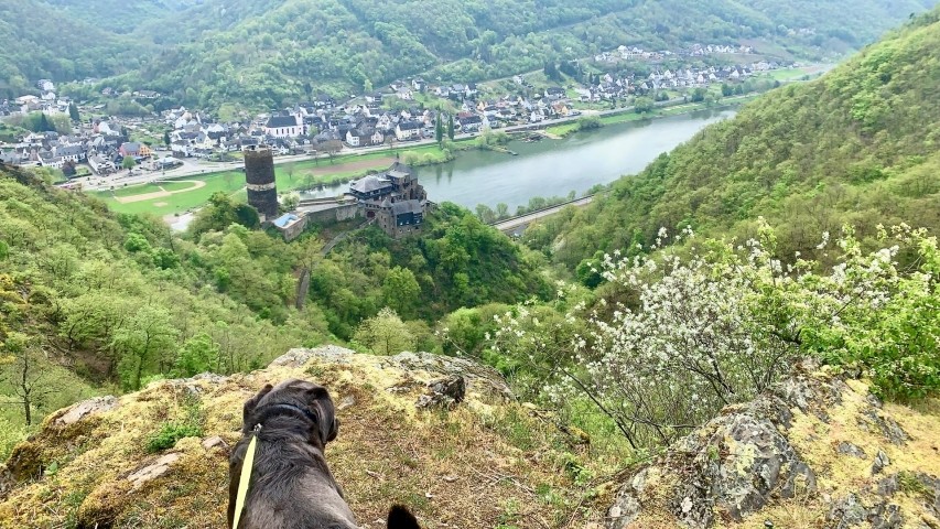 Burg Bischofstein