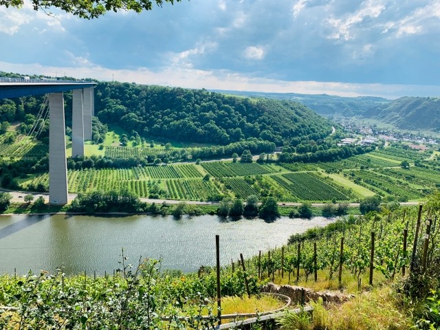 Moseltalbrücke