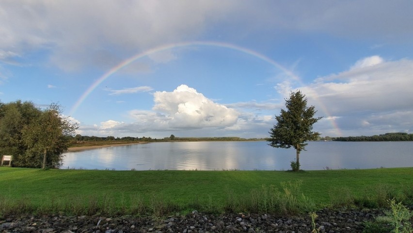 Blick vom Chalet auf den See