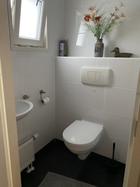 Gäste-WC und kleinem Waschbecken