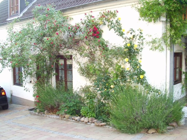 Ihre Ferienwohnung