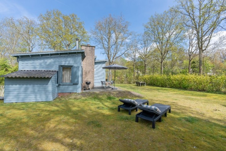 Garten mit Liegen