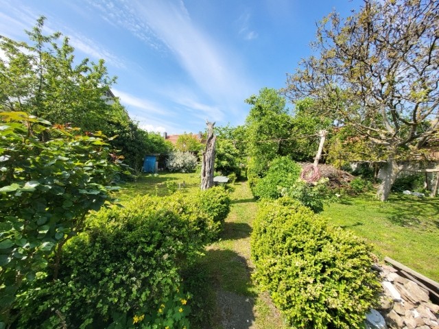 Ihr großer und sonniger Garten