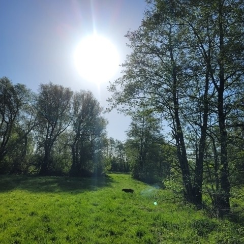 Glashagen Umgebung