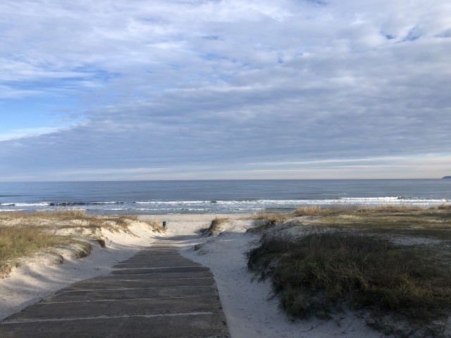 Weg zum Strand auf Rügen