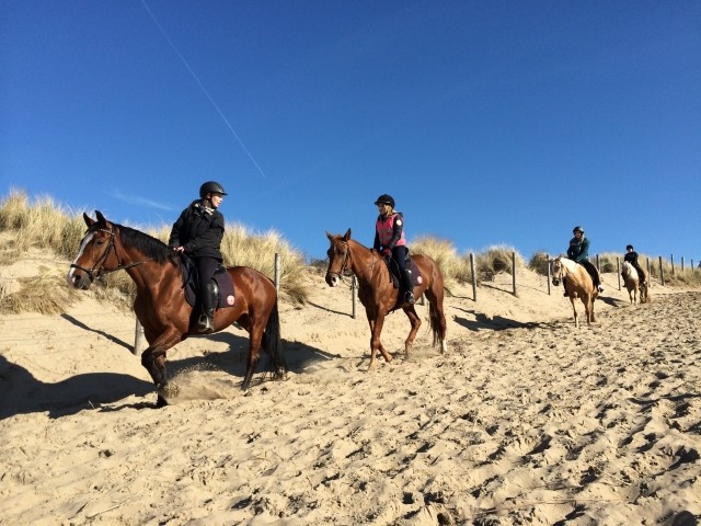 Reitan am Strand von Noordwijk