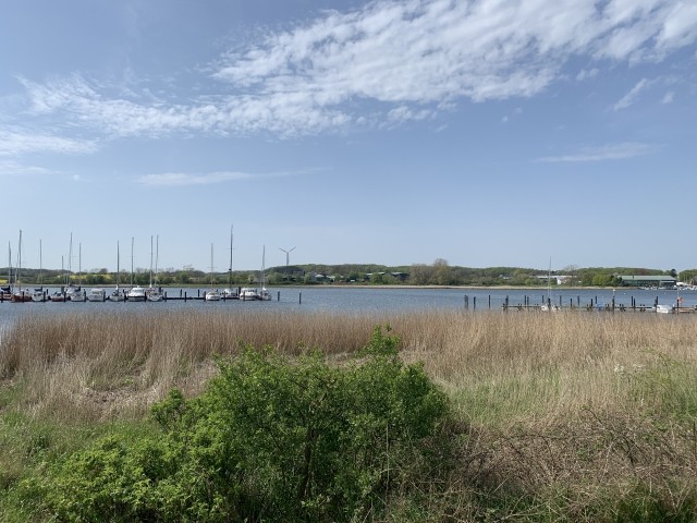 Die Schlei ist in 1 Min. erreicht.