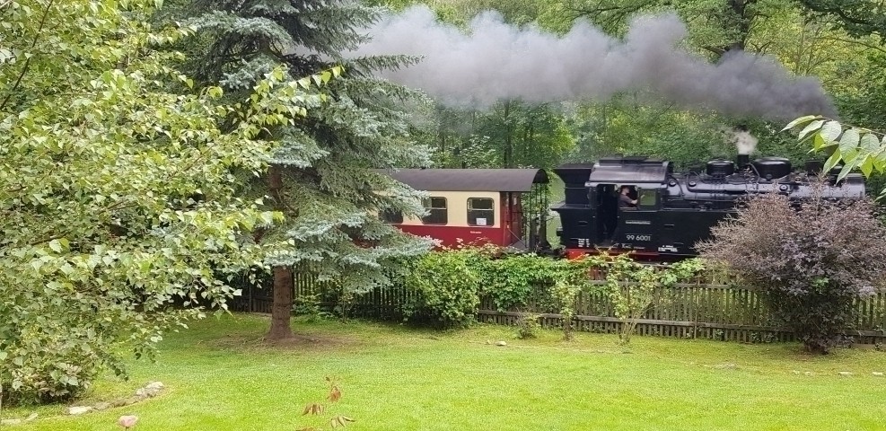 Die Dampflok fährt bis zum Brocken