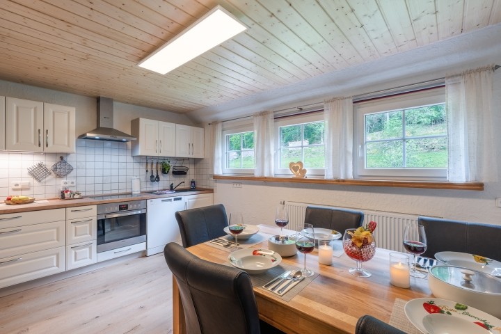große Küche mit Geschirrspüler, Induktionskochfeld, Backofen, Filterkaffeemaschine, Kindergeschirr, 