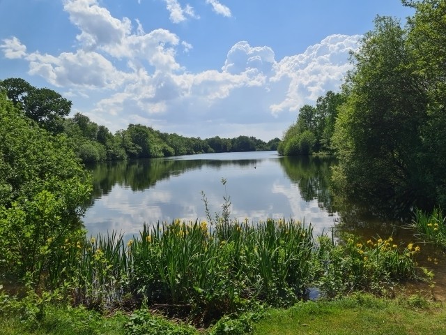 Der Kiessee 