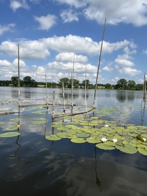 Rothener See