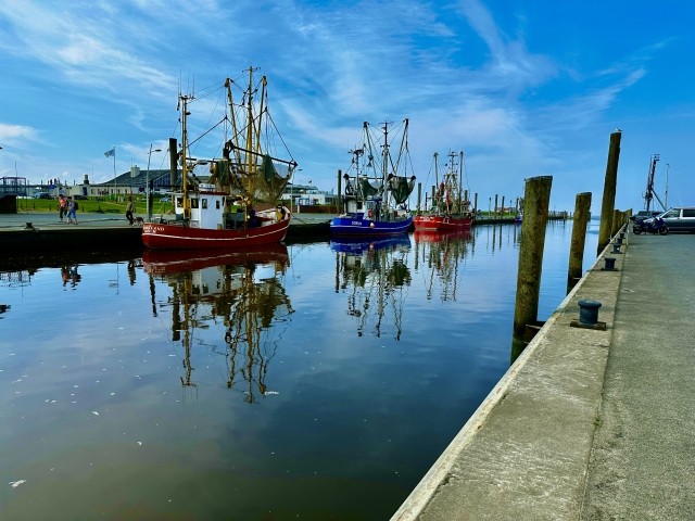 Kutterhafen 