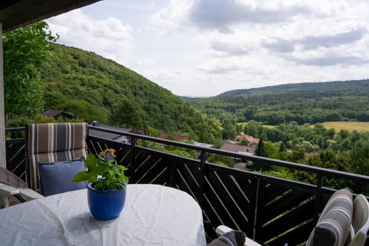 Weitblick vom Balkon ins Grüne