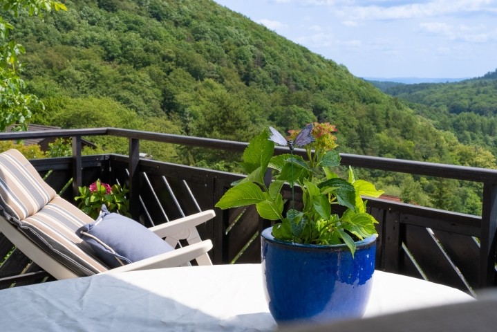 Blick vom Liegestuhl