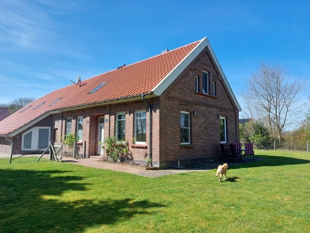 Haus (März 2023)