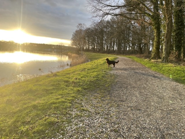 See in Plasmolen