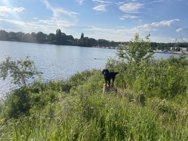 See in Plasmolen