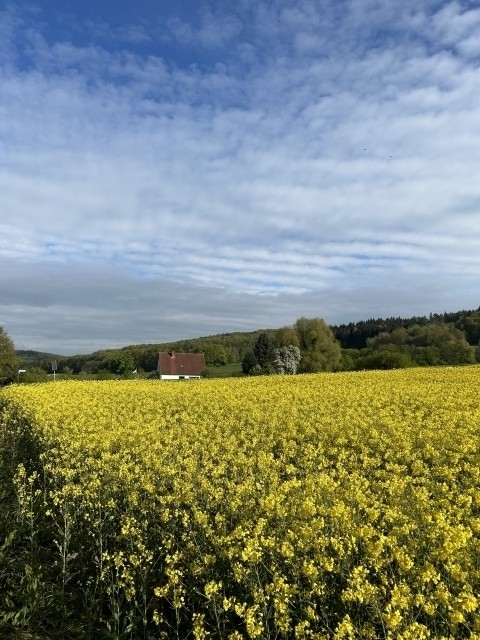 Lage der Ferienwohnung