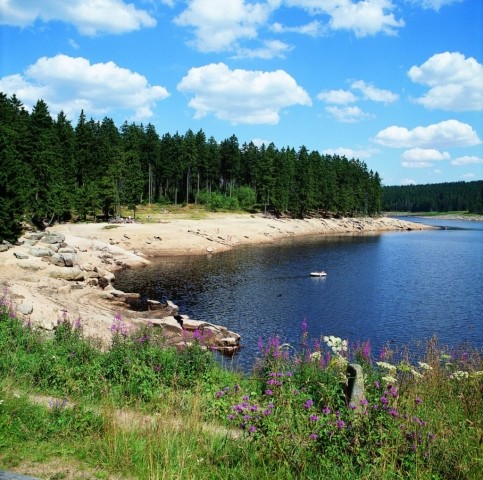 Oderteich 