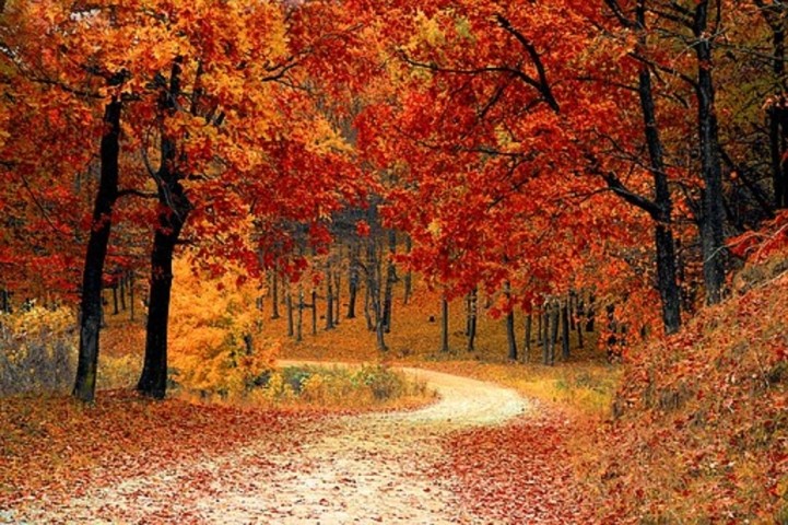 Wandern im herrlichen Herbstlaub 
