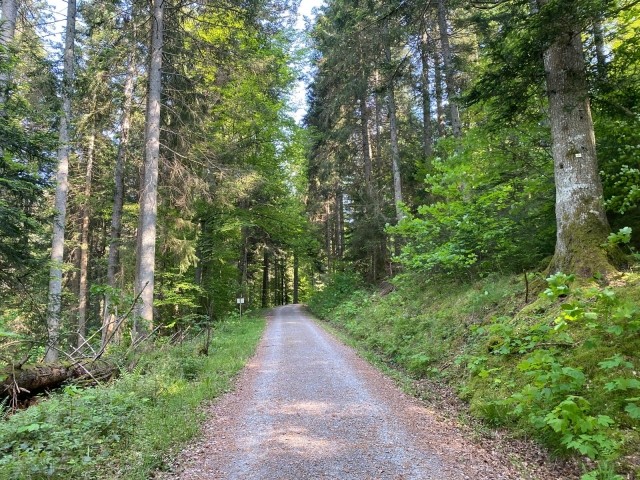 schöne Wanderwege direkt ab der Haustüre