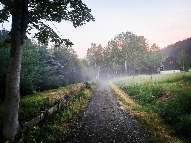 Weg hinter dem Haus
