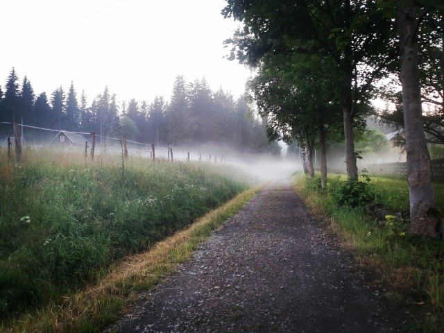 Wanderwege hinter dem Haus