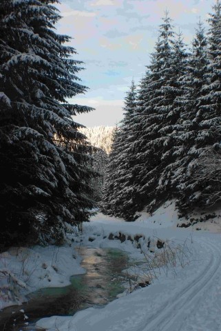 Wanderwege