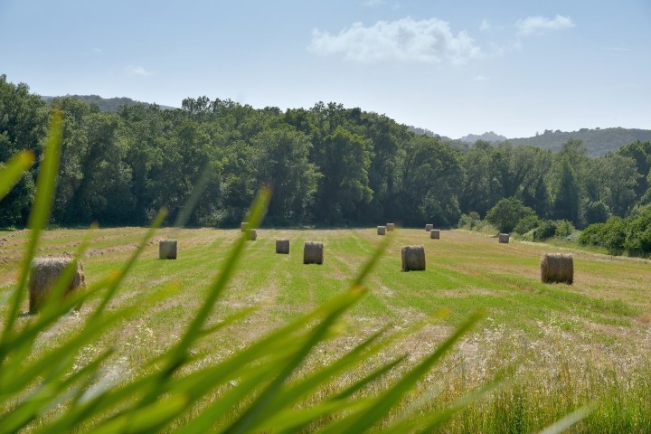 Umgebung