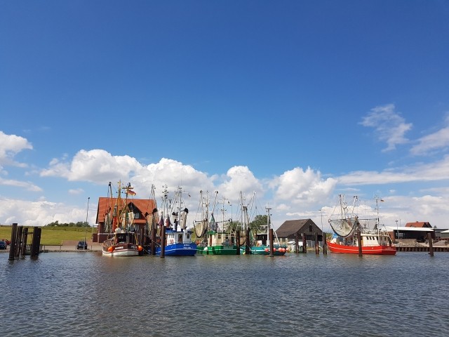 Hafen Fedderwardersiel