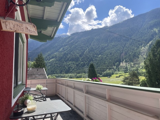 Ausblick