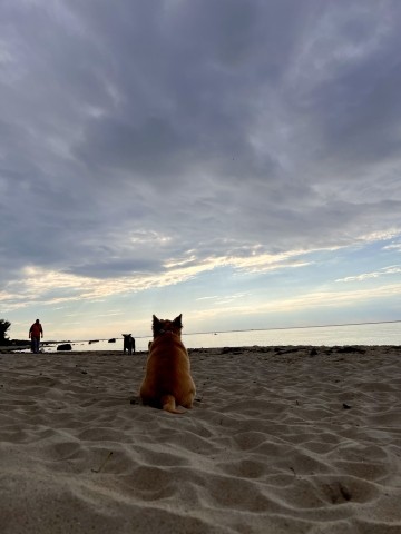 Der Strand ist selten überfüllt