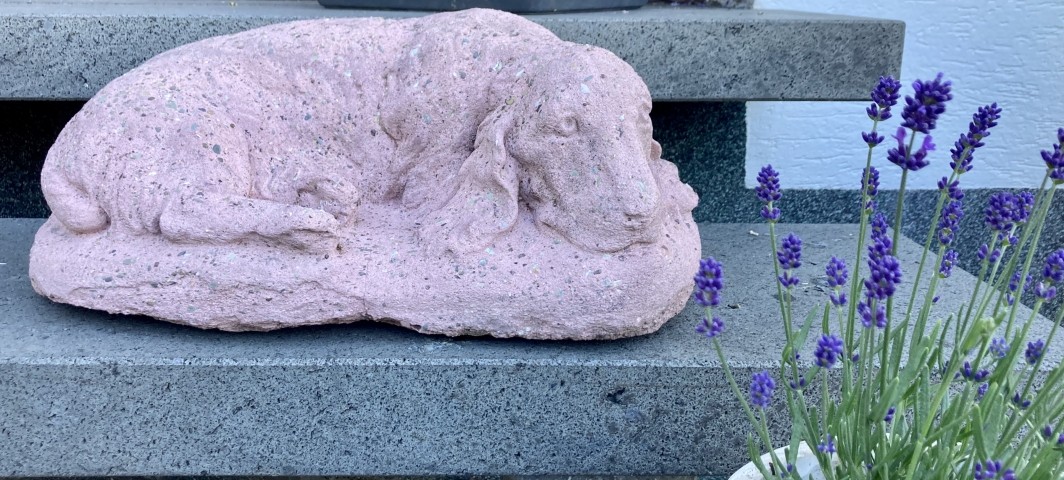 Die Wachtel 