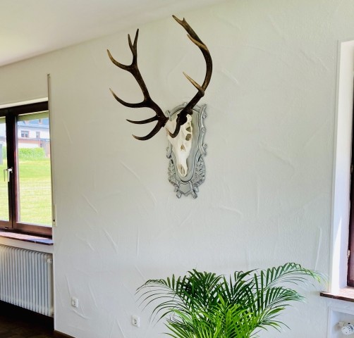 Unser Hirschgeweih 